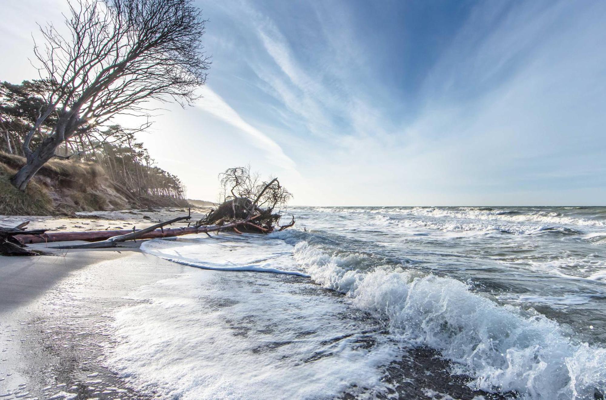 Leuchtturm An Der Seebruecke Zingst Eksteriør bilde
