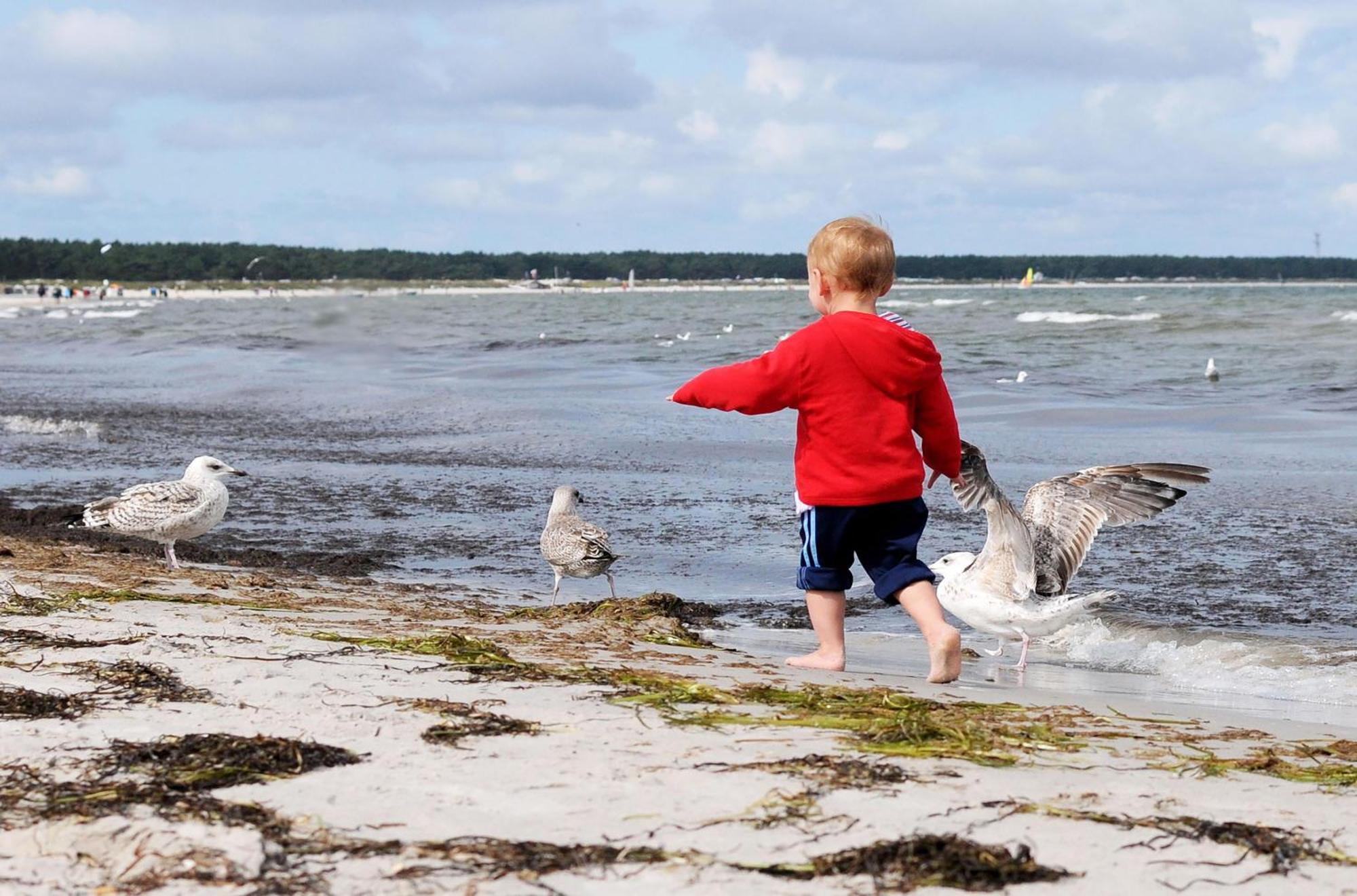 Leuchtturm An Der Seebruecke Zingst Eksteriør bilde